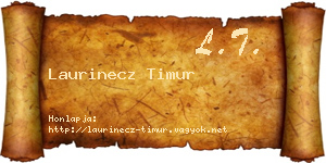 Laurinecz Timur névjegykártya